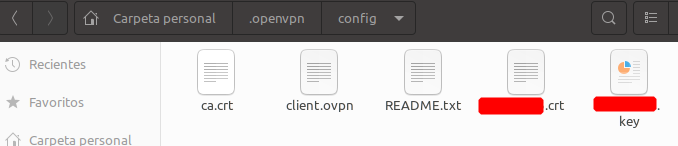 openvpn linux folder